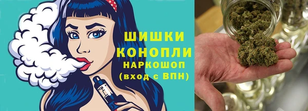 ГАЛЛЮЦИНОГЕННЫЕ ГРИБЫ Алексин